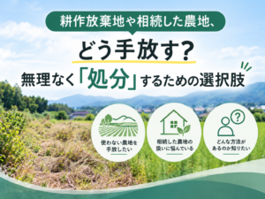 耕作放棄地や相続した農地、どう手放す？無理なく「処分」するための選択肢