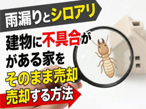 雨漏りとシロアリ：建物に不具合がある家を、そのまま売却する方法